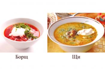 Bortsch et Shchi - en quoi les soupes diffèrent-elles?