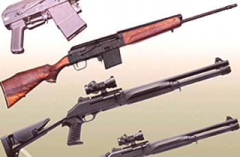 La diferencia entre armas de ánima lisa y rifle.