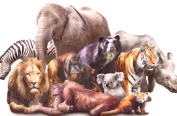 ¿En qué se diferencian los animales de los mamíferos?