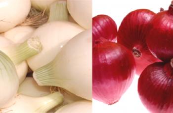 Cebollas blancas y rojas: las diferencias y propiedades útiles.