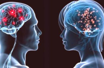 ¿Cuál es la diferencia entre el cerebro masculino y el femenino?