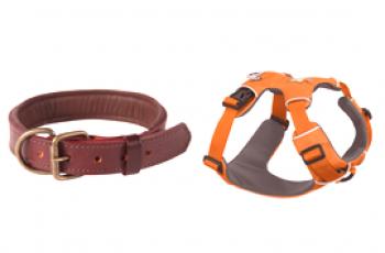 ¿Qué es mejor llevar un collar de perro o un arnés?
