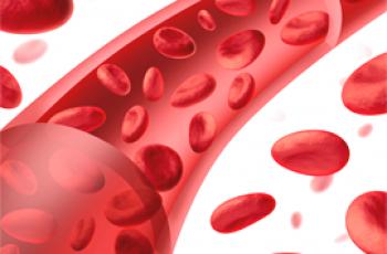Jaký je rozdíl mezi krví a lymfou?