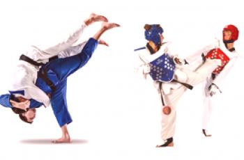 Judo ou Taekwondo: une comparaison et qu'il vaut mieux choisir