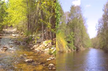 Ono što razlikuje potok od rijeke - glavne razlike