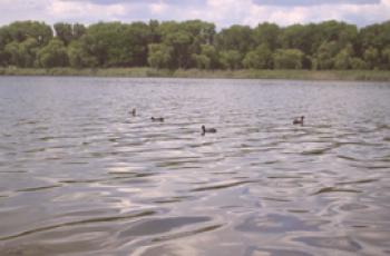 Jaký je rozdíl mezi řekou a jezerem: popis a hlavní rozdíly