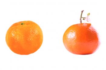 ¿Cuál es la diferencia entre clementinas y mandarinas?
