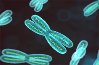 Cromosoma y cromatina: ¿qué es y en qué se diferencian?