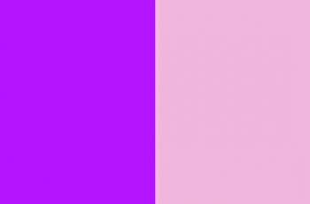 En quoi le violet est-il différent du lilas?