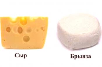 Fromage et fromage - quelle est la différence entre ces produits?