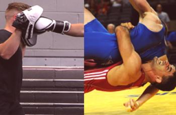 ¿Qué tipo de deporte es mejor elegir boxeo o lucha libre?