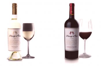 ¿Cuál es la diferencia entre el vino blanco y el rojo?