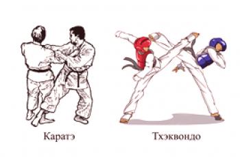 Kako se karate razlikuje od taekwondo - usporedbe borilačkih vještina