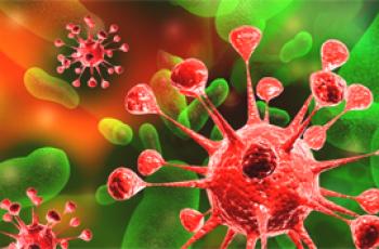 ¿En qué se diferencia un virus de una bacteria y qué tienen en común?