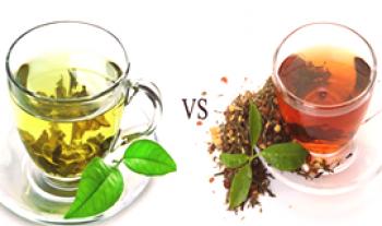 ¿Cuál es la diferencia entre el té verde y el negro?