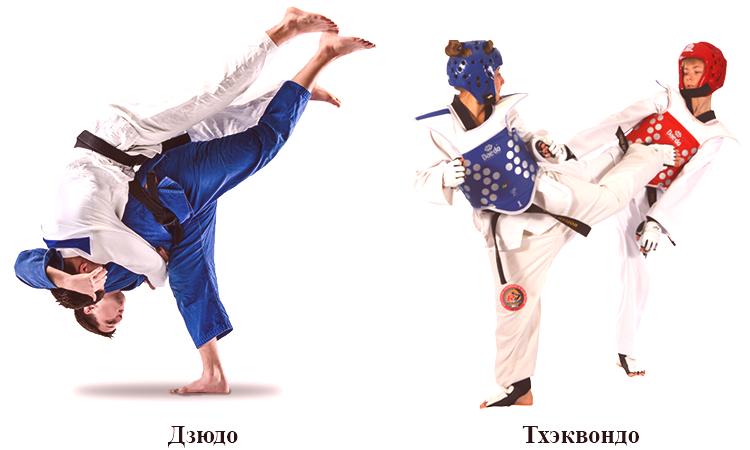 Diferencia karate taekwondo ¿Cuáles son